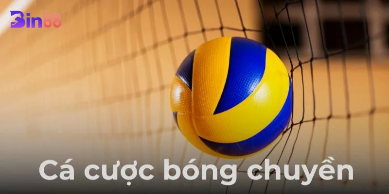 Mẹo Cá Cược Bóng Chuyền Trực Tuyến Tại BIN88 Thắng Chắc